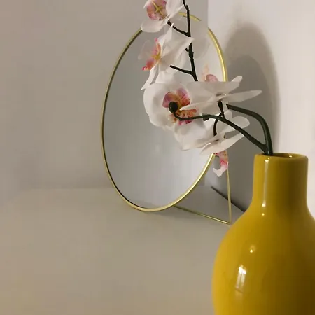 Le Clio Hyper Centre Proche Promenade * Niza