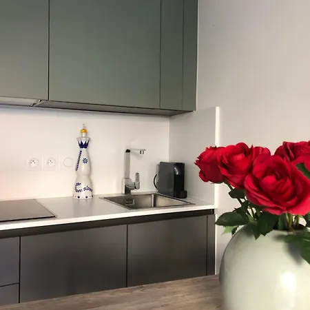 Le Clio Hyper Centre Proche Promenade Apartamento