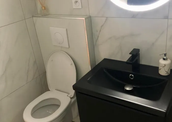 Appartement Le Clio Hyper Centre Proche Promenade *