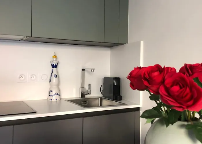 Le Clio Hyper Centre Proche Promenade Апартаменты